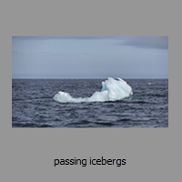 passing icebergs